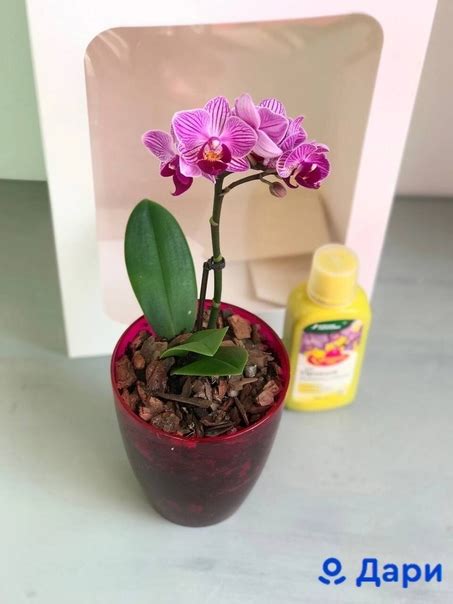 Добро пожаловать в зеленый рай! Вас ждет свежая и такая сочная поставка ...