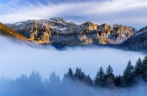 Genuss Pur Drei Unvergessliche Ziele Am Bodensee Scherzers