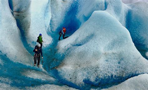 Mendenhall Glacier Trek - Above & Beyond Alaska