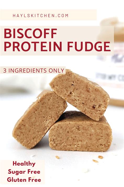 Actually Healthy Biscoff Protein Fudge Sugar Free Recipe Protein