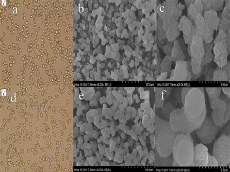 Micrographs Of Bare Silica Particles At Different Magnifications A