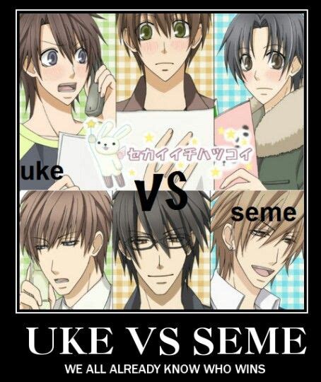 Sekaiichi Hatsukoi Manga Love Anime Junjou Romantica