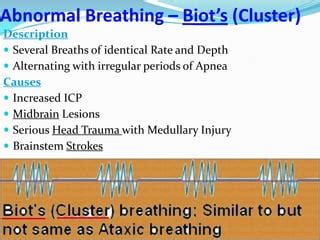 Neural Control of Respiration - Abnormal Breathing Patterns - Sanjoy ...