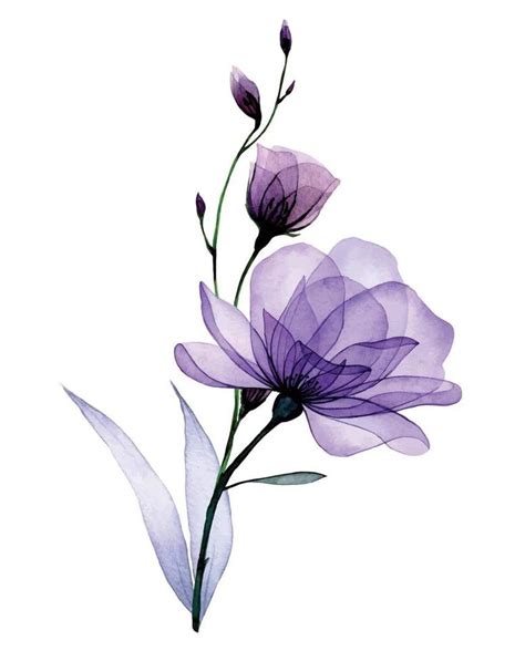 composition with transparent flowers. purple roses, wild rose flowers ...