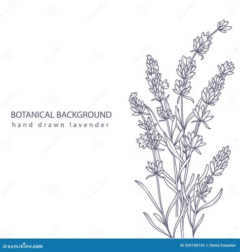 lavender floral color 7