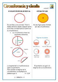 Circulo Y Circunferencia Idioma Espa Ol O Castellano Curso Nivel