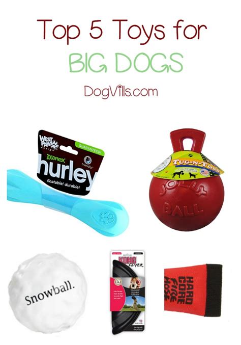 Top 5 Picks for the Best Dog Toys for Big Dogs - DogVills