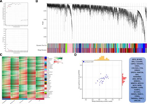 Frontiers Bioinformatics Analysis Reveals The Landscape Of Immune