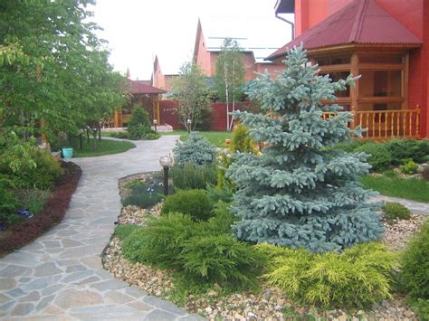 Где посадить елку на даче дизайн (35 фото) » НА ДАЧЕ ФОТО