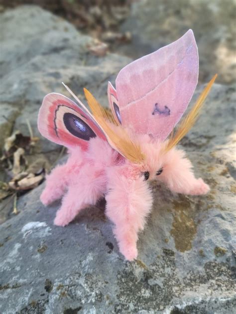 Pink Silk Moth Textile Sculpture, Textile Art, Textile Taxidermy OOAK, Soft Sculpture, Insect ...