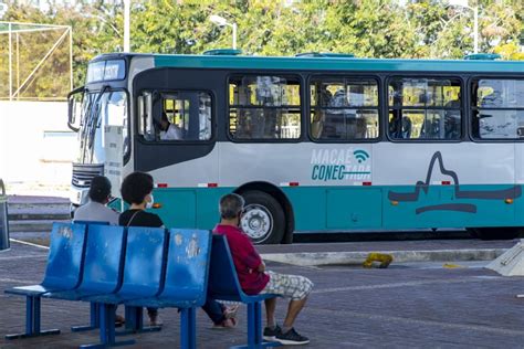 Maca Recebe Novos Nibus Urbanos Nibus Transporte