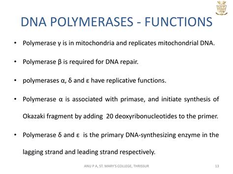 Replication In Eukaryotes Ppt