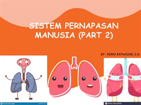 SOLUTION: Sistem pernapasan manusia - Studypool