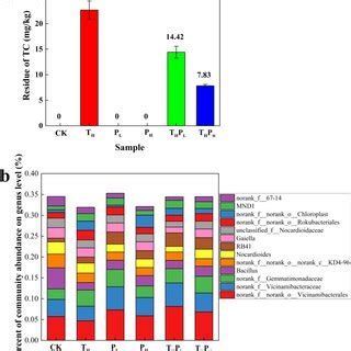 Analysis Of Bacterial Community Structure At Phylum Level Relative