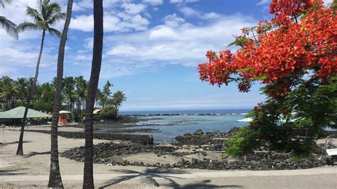 The Best Beach On Hawaii S Big Island For Swimming And Snorkeling