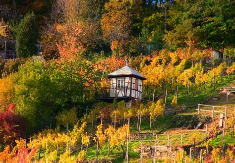 Weinberge Rund Um Leonberg Herbst 2014 73208 4503 Flickr