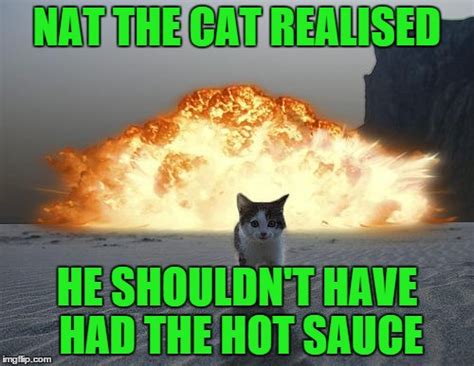 Cat Fart Meme