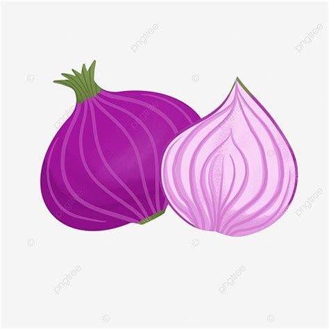 Red Onion PNG Image Red Onion Cartoon Red Onion Herbs Seasonings