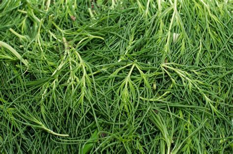 รูปภาพAgretti – เลือกดูภาพถ่ายสต็อก เวกเตอร์ และวิดีโอ17,999 | Adobe Stock