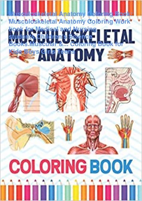 ⚡[download] Pdf⚡ Musculoskeletal Anatomy Coloring Book Musculoskeletal