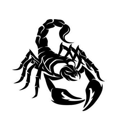 Scorpion Decal Scorpion Decor Vinyl Car Bonnet Side Sticker - Etsy