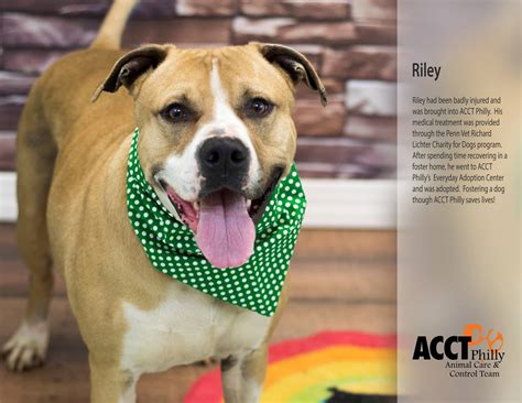 ACCT Pen Pals | Philadelphia PA