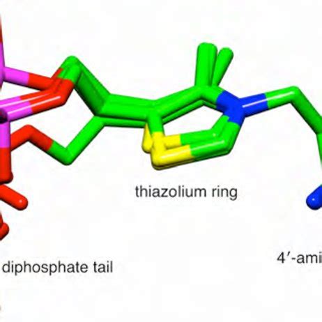 A Superposition Of The Four ThDP Coenzymes From The Two Heterotetramers