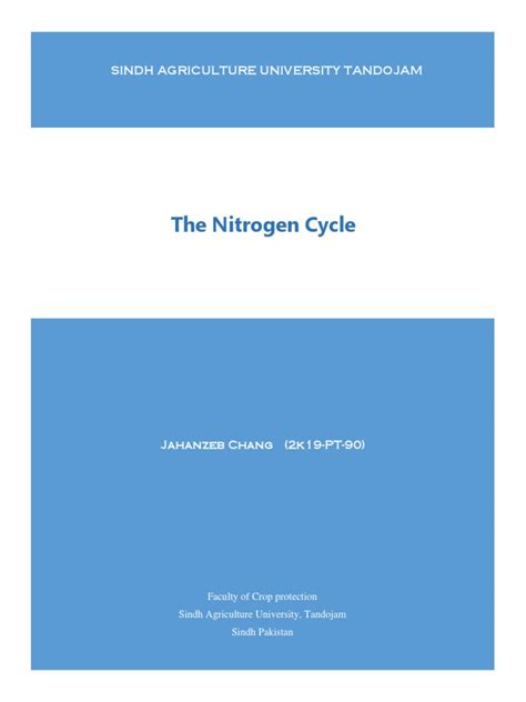 The Nitrogen Cycle: Sindh Agriculture University Tandojam | PDF