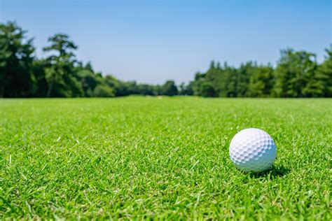 keits apprentice jobs  courses  golf greenkeeping