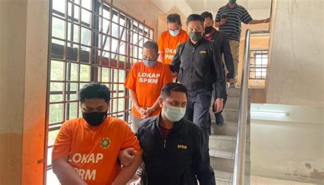 Macc Nabs More Enforcement Officers Over Meat Cartel Scandal The