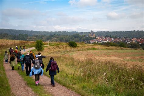 Reise Mit Aal Auf Den Spuren Einer Aussterbenden