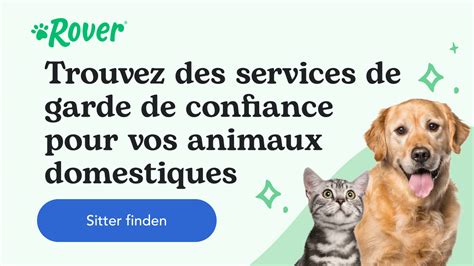 Signes Que Votre Chat Vous Aime Et Se Sent En S Curit