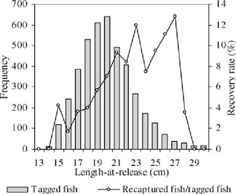 Length Frequency Distribution Of Tagged Hake Total Length Tl Download Scientific Diagram