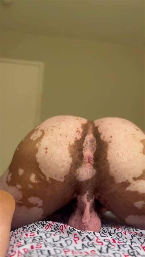 Shaking Ass Video 6 ThisVid