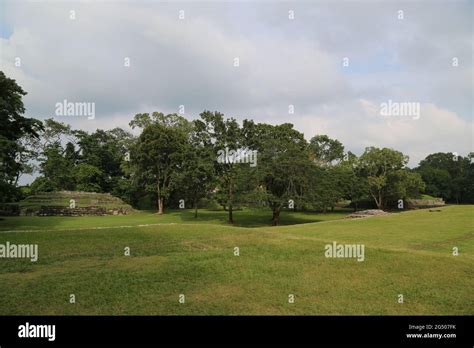 The Mayan city of Palenque, Mexico Stock Photo - Alamy