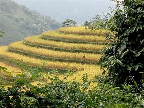 Travel and food tales: Hoang Su Phi - Rice terraces in the sky