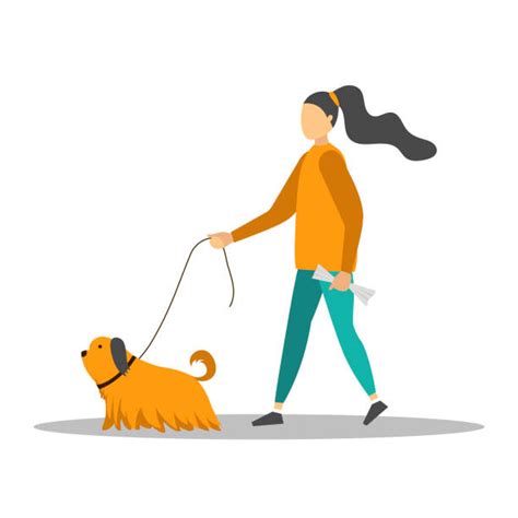 Dog Walker Illustrations, Royalty-Free Vector Graphics & Clip Art - iStock