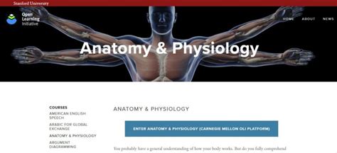 Best Online Anatomy And Physiology Courses