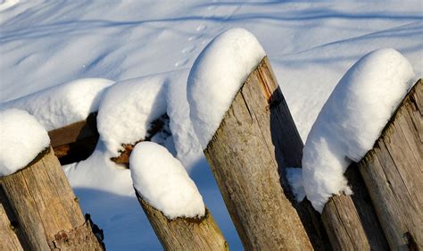 Zaun Winter Schnee Kostenloses Foto Auf Pixabay