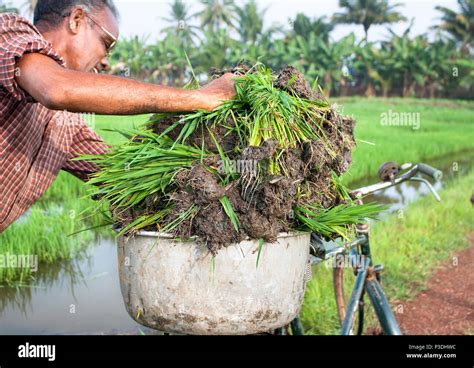 Kerala Farmer Images