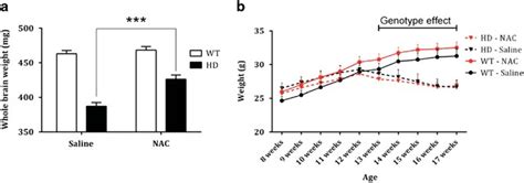 acetylcysteine improves mitochondrial function  ameliorates