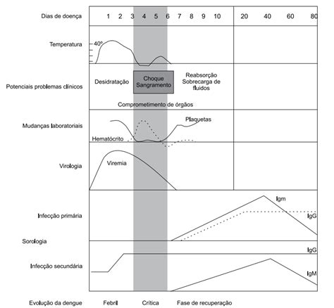 AIO Considere O Grafico A Seguir Evolucao Clinica E