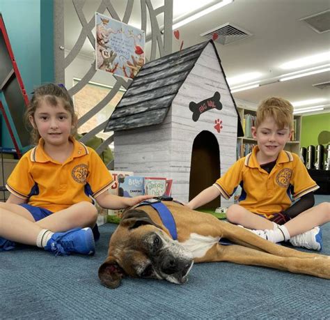 Valentino The Therapy Dog Is Welcomed Into The School Year At Our Lady