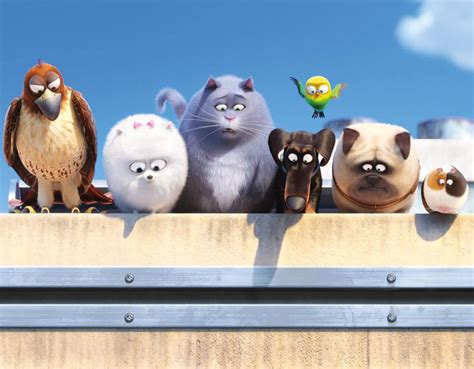 The Secret Life Of Pets Giveaway Pawsitively Pets