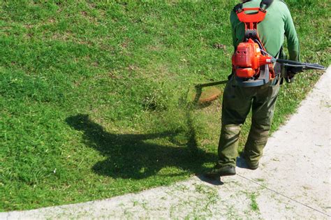 What Kind Of Oil Goes In A Weed Eater Head