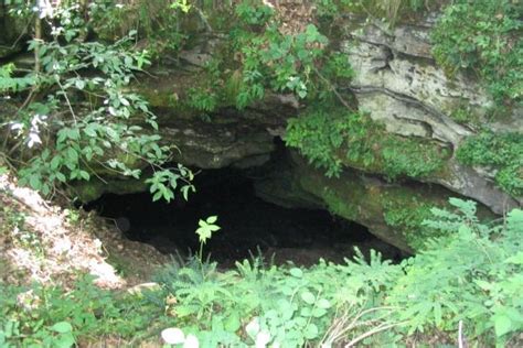 Bat Cave Construction | The Nature Conservancy | Cave entrance, Natural cave, Nature conservation