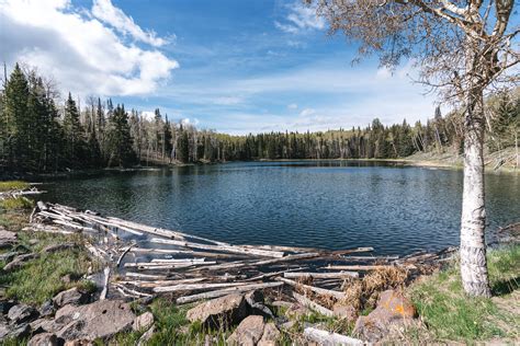 Big Boulder Mountain Brookies | Aspiring Wild