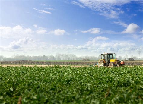 Informacje O Firmie Agro Tom Serwis Z Zamku Kiszewskiego