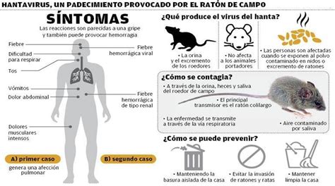 Chubut Reportan Un Caso De Hantavirosis Departamento De Epidemiolog A