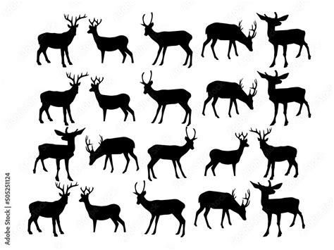 Deer Vector Image. Deer Vector Art and Graphic. Deer Vector designs ...